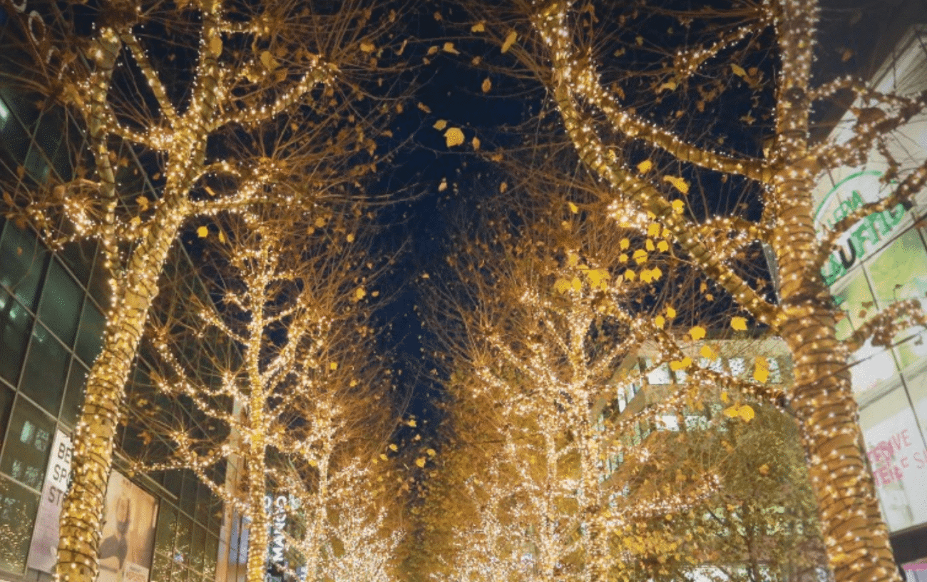 Kerstverlichting Hoveniers 11