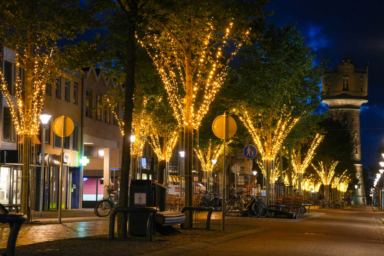 Professionele boomverlichting voor een unieke beleving